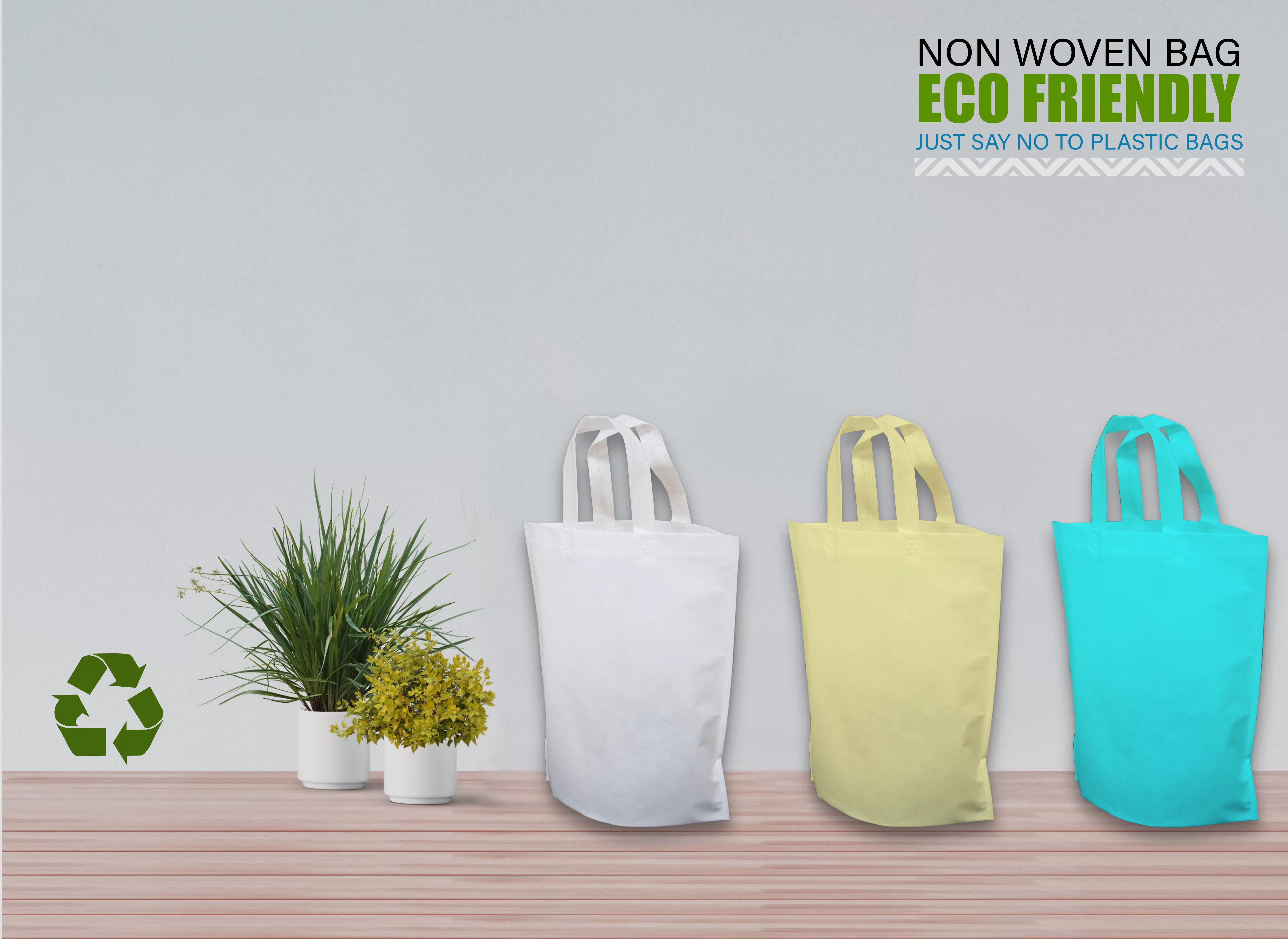 Non Woven Bags