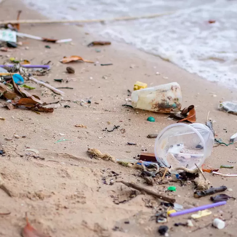 Why we shouldn't use plastic